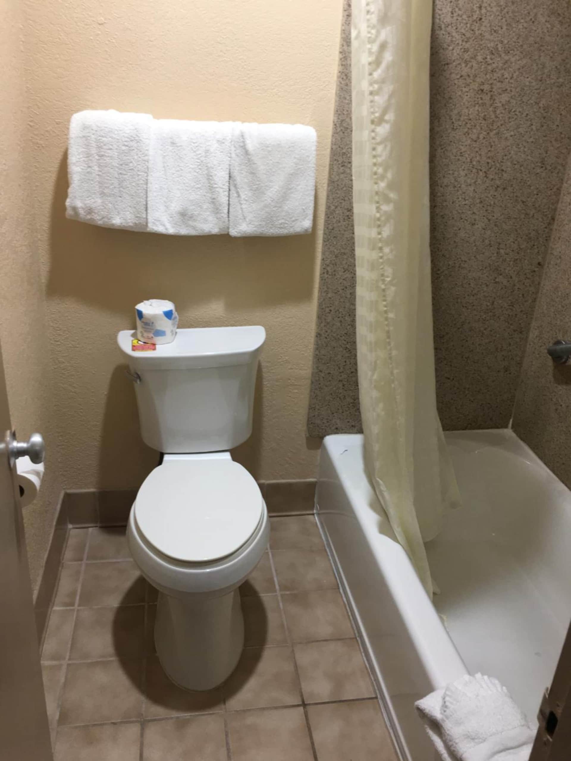 AMERICAS BEST VALUE INN - NRG PARK MEDICAL CENTER