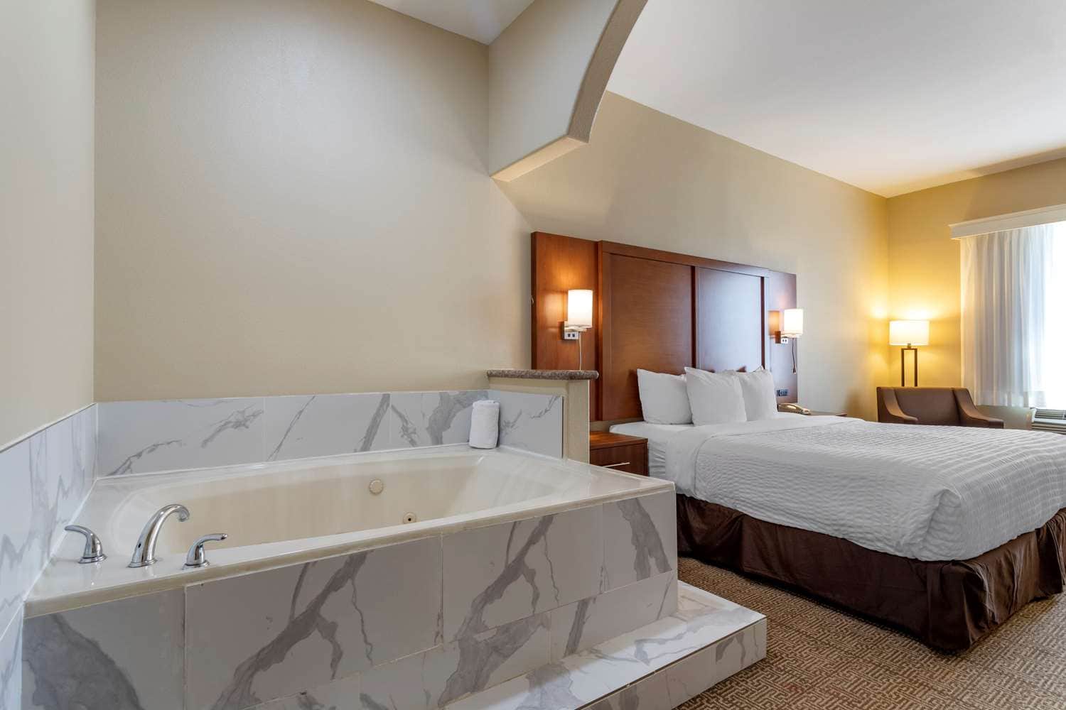 Comfort Suites near Texas Medical Center - NRG Stadium